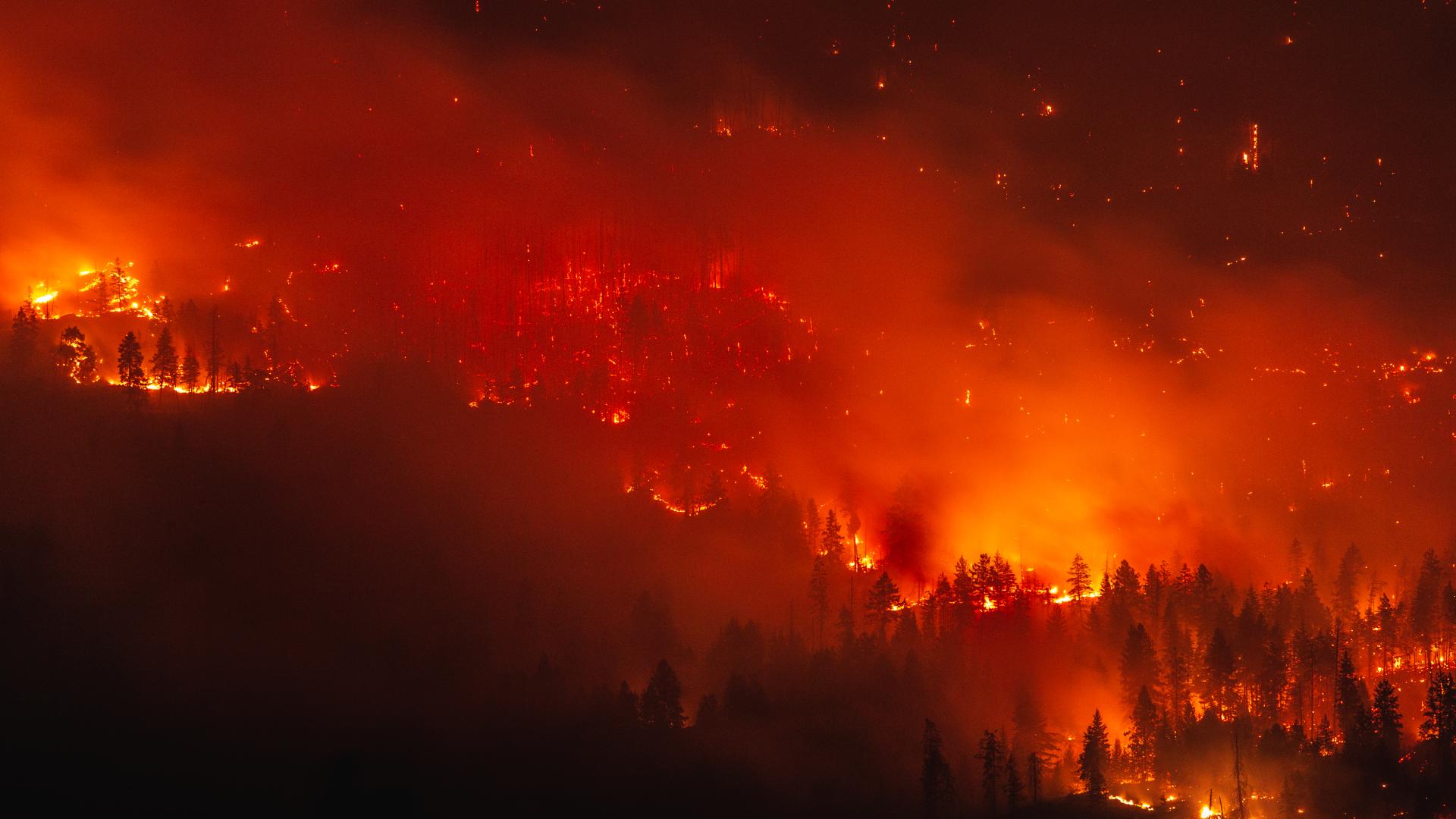 Повече от 17 000 души бяха евакуирани днес в провинция