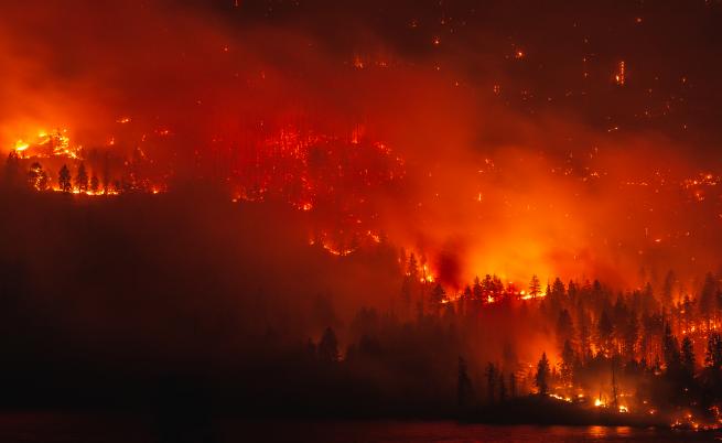 Огнен ад: Излязъл от контрол горски пожар премина от Калифорния в Невада