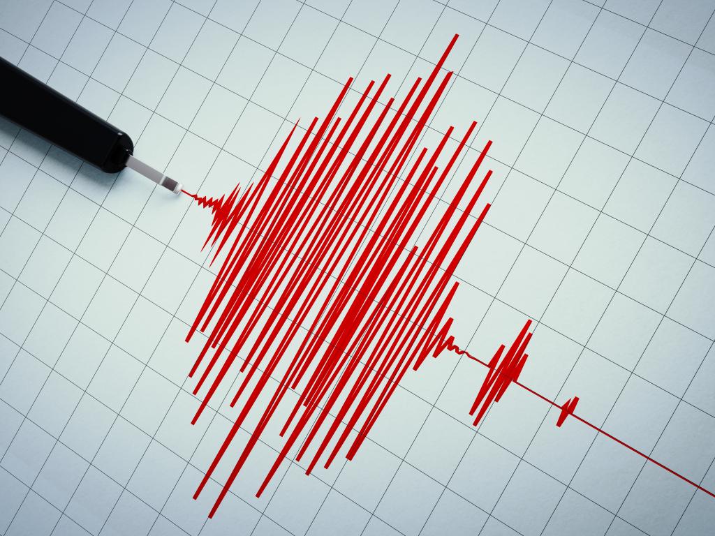 Земетресение с магнитуд 4 5 по скалата на Рихтер разлюля източната част