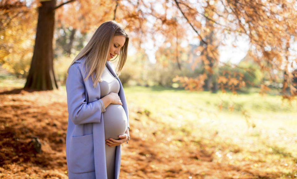 бременност бременна жена есен природа разходка