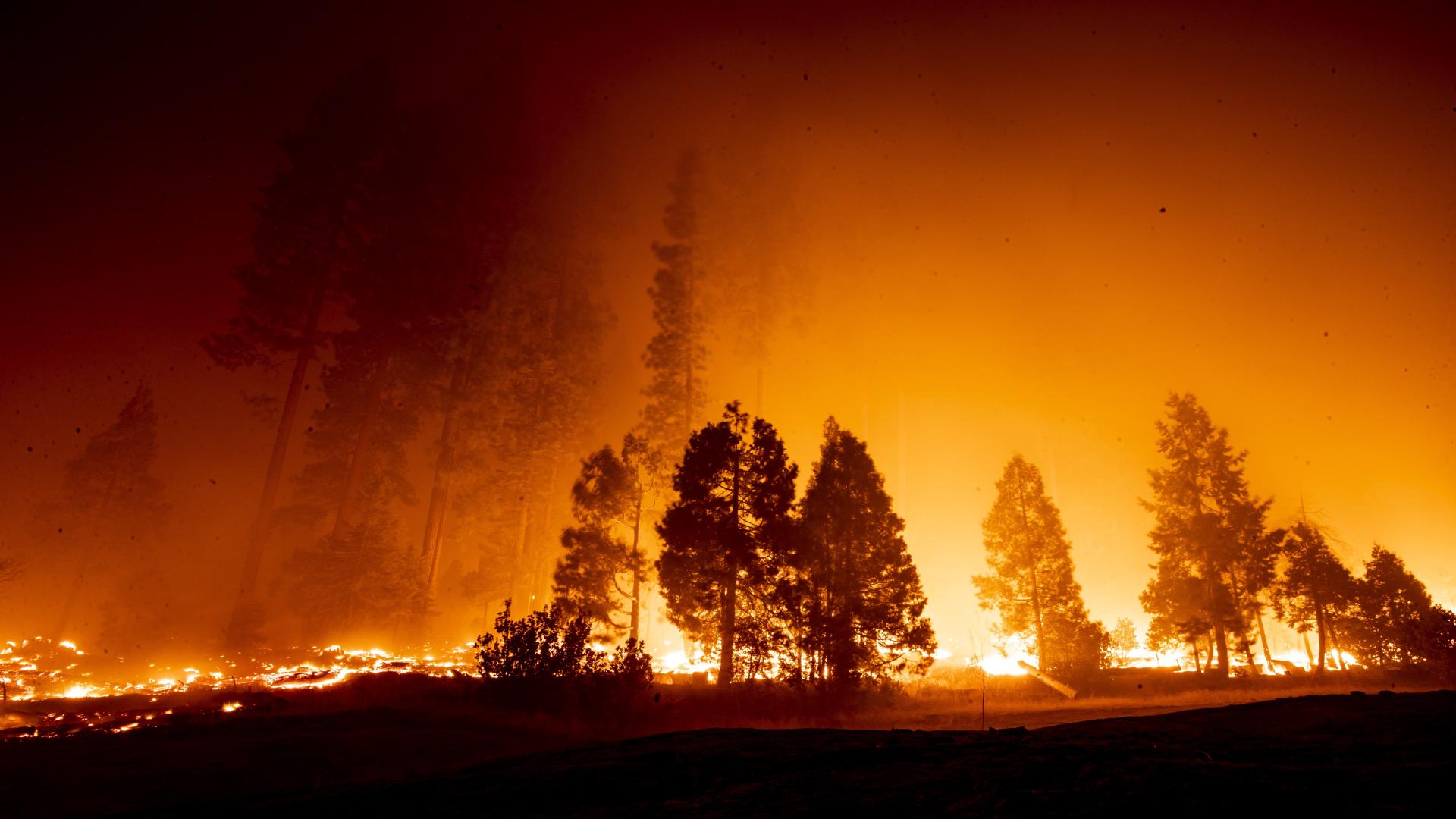 Тийнейджър от окръг Ориндж Калифорния разработи иновативна система която може