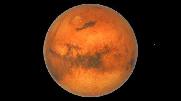 Китайски учени откриха мъх, който би могъл да вирее на Марс