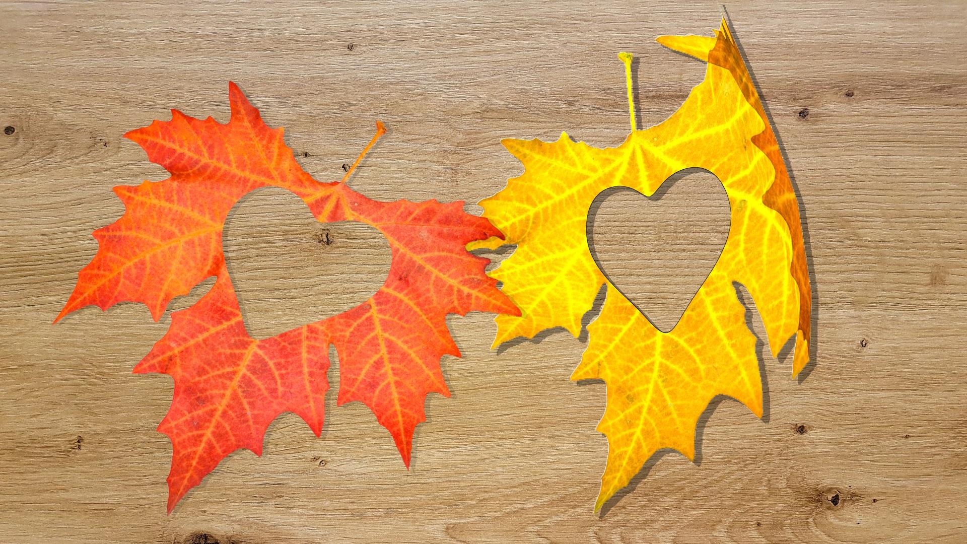 Синоптикът Петър Янков заяви че ще изпратим месец август с