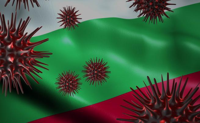 Специалист: Не приемайте имуностимуланти, вредят