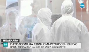 COVID-19: Какво разкриват аутопсиите на починалите