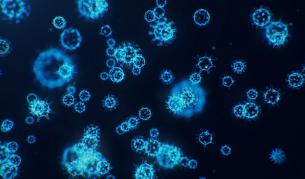 При COVID-19: Без сол и алкохол, казва лекар