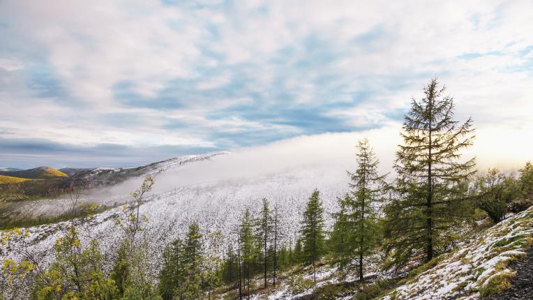  Как наподобява най-студеният град в света? 