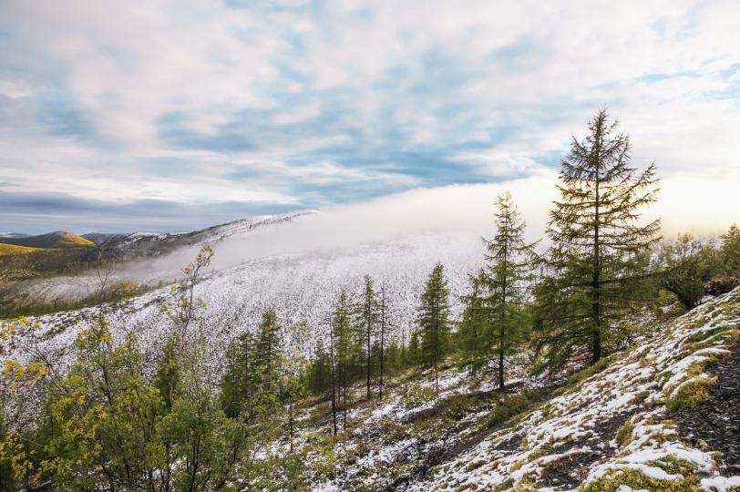 Дневен хороскоп за вторник, 12 януари - снимка 6