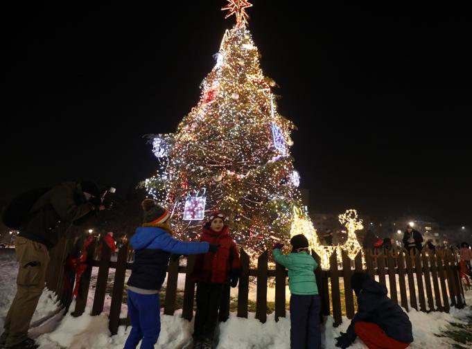 Коледната елха в София грейна без празнична програма елха коледа