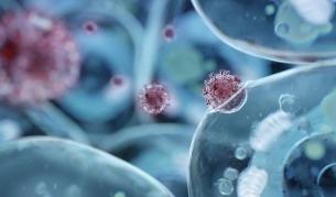 <p>Изследване: Хората с антитела могат да предадат COVID-19</p>