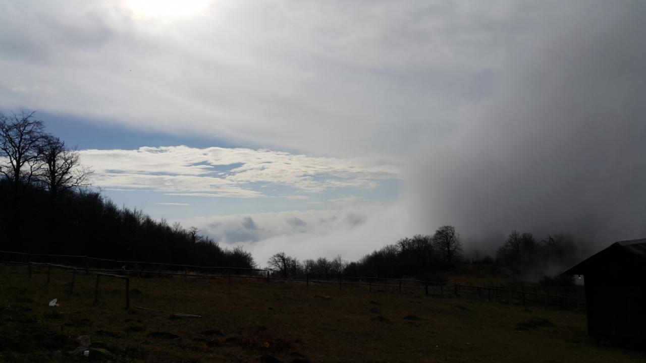 Илюстративна снимка