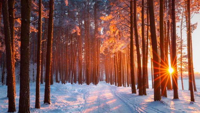  Изберете си картинка и разберете какво ще ви донесе февруари 