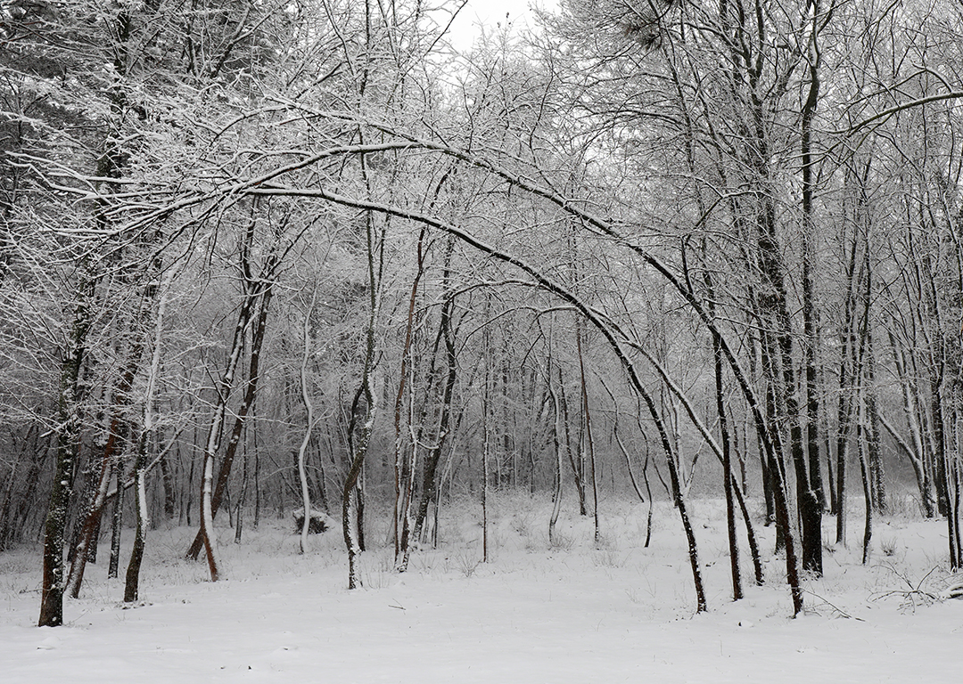 <p>Северен парк, София</p>