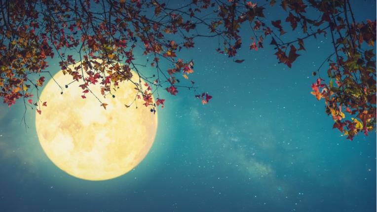 Утре изгрява съдбовната Розова луна: какво очаква всяка зодия