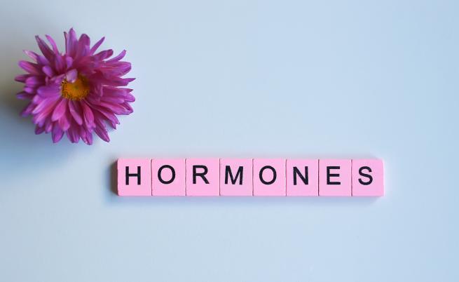 Човешките хормони се променят със сезоните