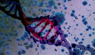 <p>Учени: Британската мутация&nbsp;навярно е много по-смъртоносна</p>