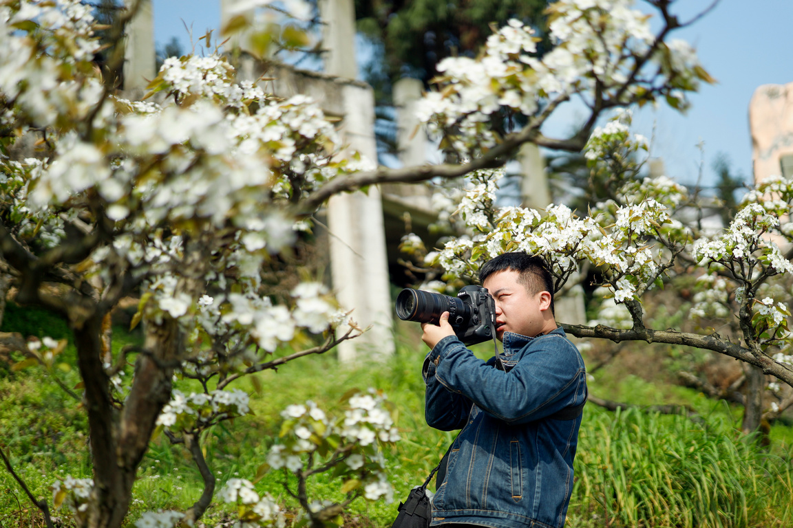 <p>Посетители разглеждат и се снимат сред цъфнали крушови дръвчета в град Чижу, област Юбей, югозападната китайска община Чунцин</p>