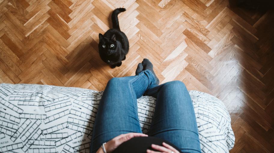 Трябва ли да се разделя с домашната си котка, когато разбера, че съм бременна?