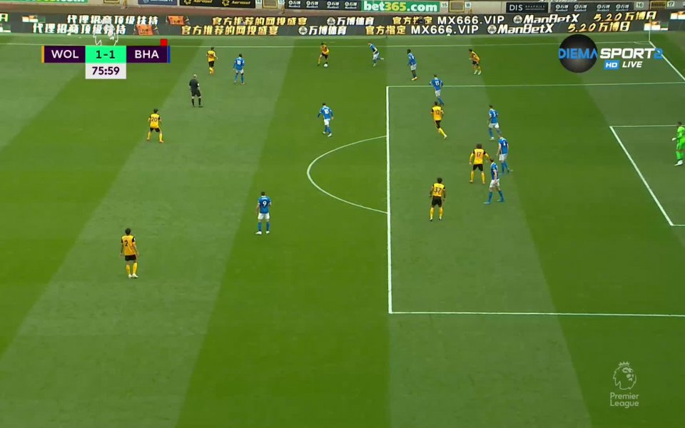 Уулвърхемптън Уондърърс - Брайтън & Хоув Албиън 2:1 /репортаж/