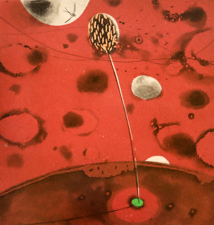 <p>Хълмът на боровинките</p>