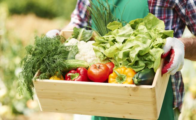 Сезонните плодове и зеленчуци – супер храна и цветотерапия