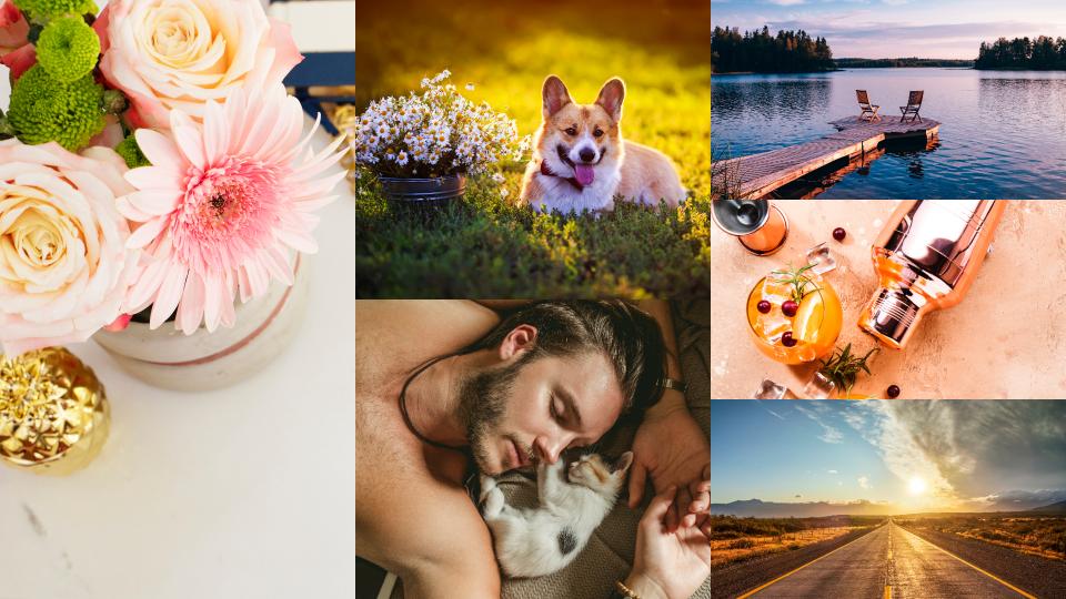 колаж тапети юни 2021