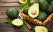 Здравословно: Четири вкусни рецепти с авокадо
