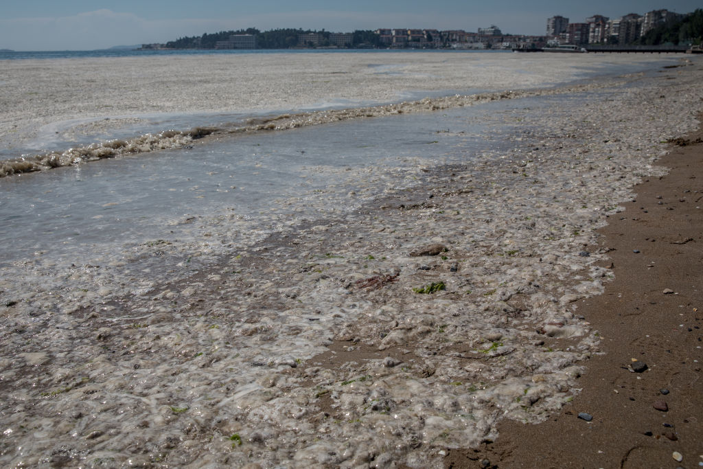 <p>&quot;Морски сополи&quot; край бреговете на Мраморно море в Турция</p>