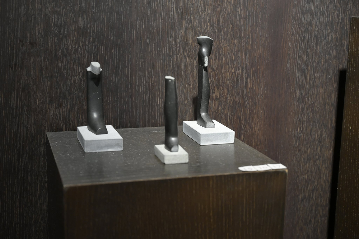 <p>Тези помисли, които съвсем нямат претенциите на научно подредени мисли, а са опити за организация на хаоса, еволюираха моите по късни работи в &bdquo;НЕЗАВЪРШЕНИ ПРОЕКТИ ЗА НОВ ЧОВЕК&ldquo;.</p>