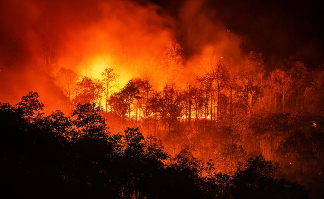 Изгасиха близо 170 горски пожара у нас за денонощие