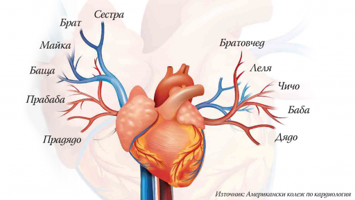  Холестеролът и </div>

</article>
<style>
.youtube{
  width:100%;height:500px;
}
@media only screen and (max-width: 600px) {
.youtube {
    height:250px;
  }
}
</style>
<div style=