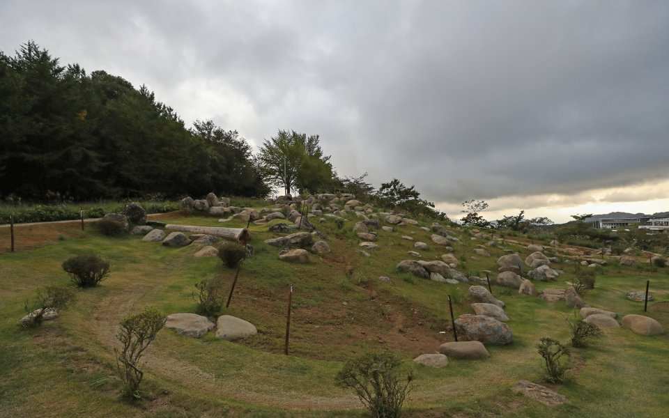 В навечерието на старта на Олимпийските игри в Токио