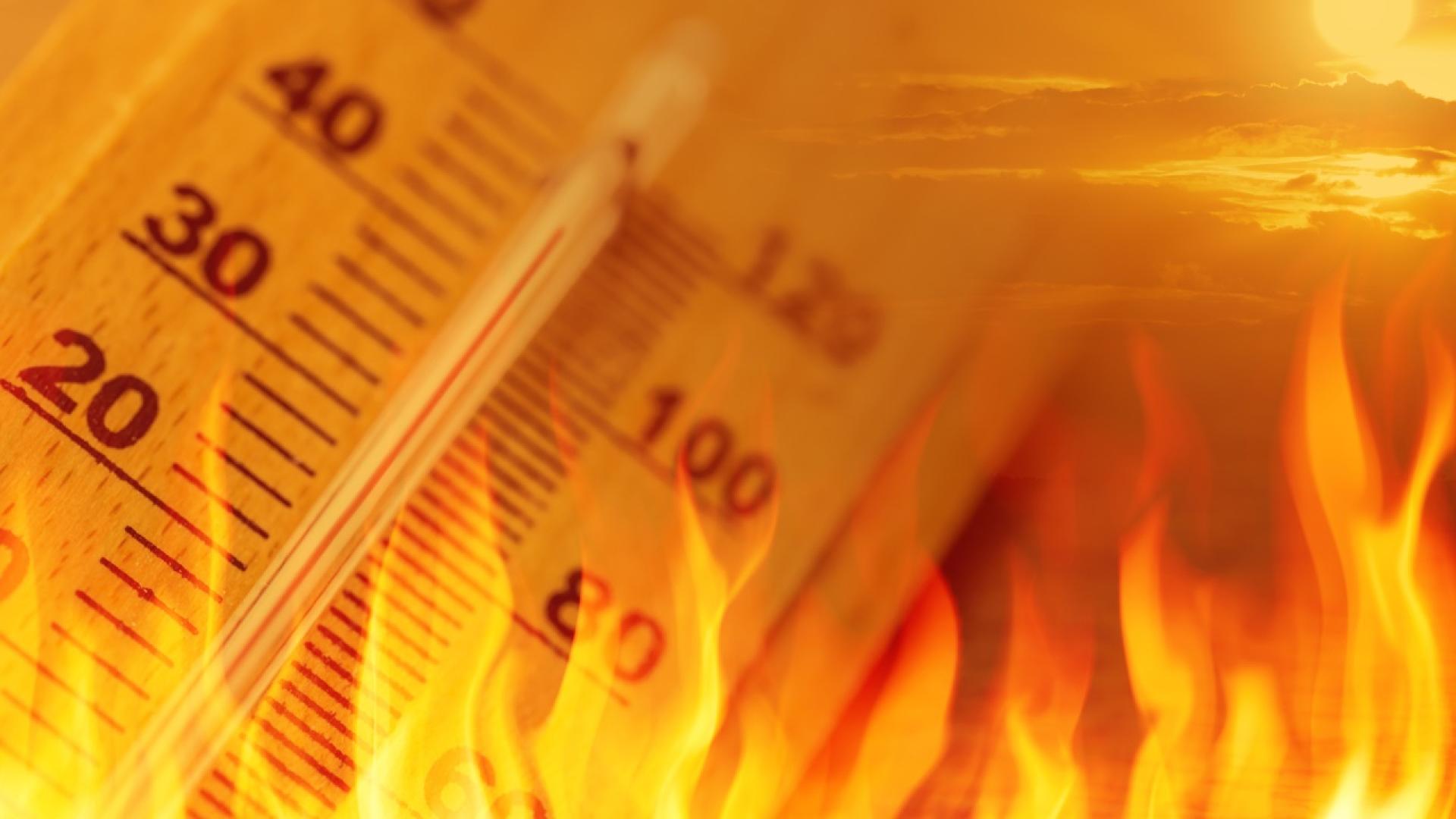 Температурите в България остават екстремно високи и в последния работен