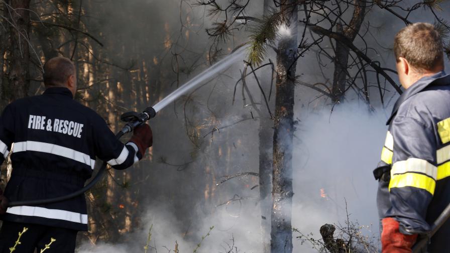 Овладян е горският пожар в Сакар планина