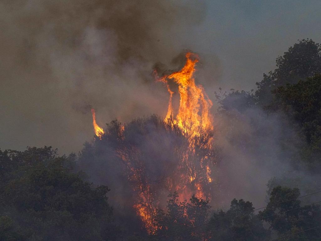 Мълнии предизвикаха 24 пожара в петък следобед в Гърция съобщи
