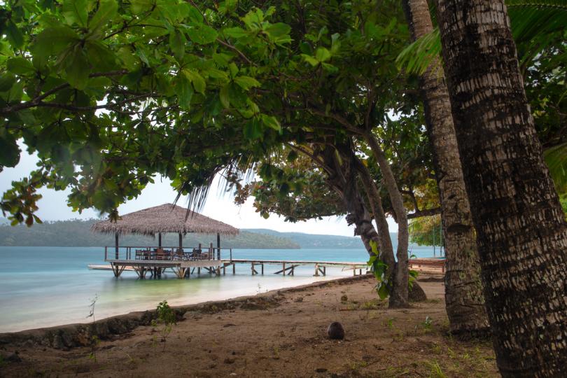 <p><strong>Тонга&nbsp;</strong></p>

<p>В Тонга до момента не е отчетен нито един случаи на COVID-19. Малката страна в Океания с население от 105 695 души въведе строги правила за пътуване от февруари, като на практика затвори границите си на 29 март, след като на близкия остров Фиджи откриха заразен с коронавируса. Беше позволено единствено връщането с полет на няколко десетки тонгоанци от Фиджи през юли, които бяха поставени под карантина в строго охраняван от полицията хотел.</p>