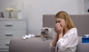 Как домът ни може да ни разболее: 4 неща вкъщи, които са вредни