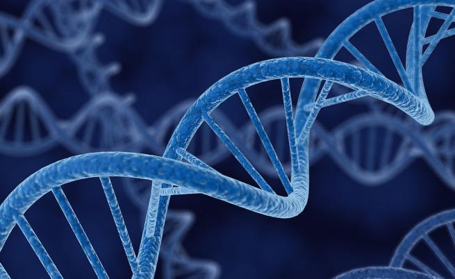 ДНК – кодът на живота