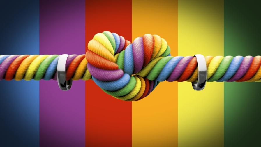 <p>Швейцария каза &bdquo;да&ldquo; на гей браковете</p>