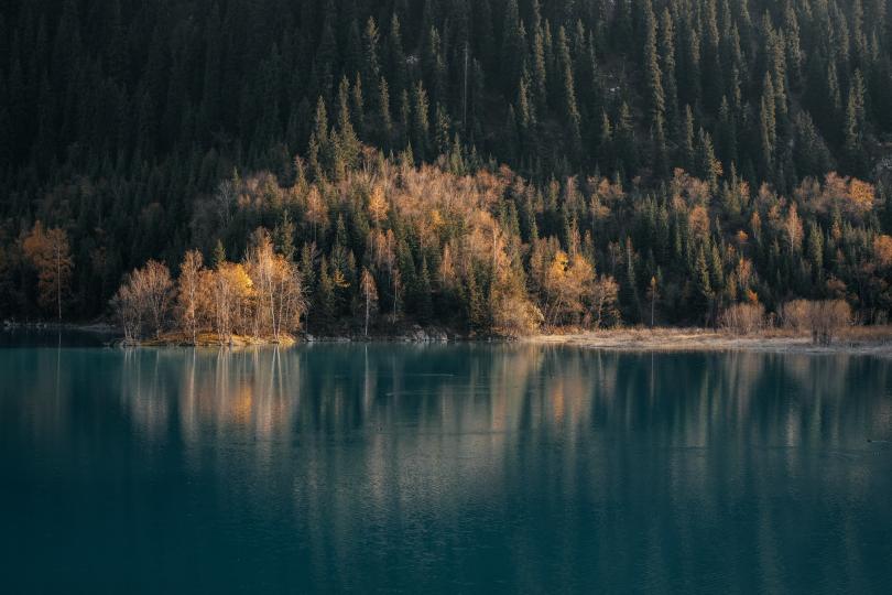 <p><strong>Водолей</strong></p>

<p>Днес с определен свой избор ще предопределите съдбата си, така че не се подвеждайте по чувствата си, а следвайте разума. В случай че колебанието ви вземе превес, та на всяка цена трябва да се допитате до човек, чиято преценка уважавате. Добре е да отделите достатъчно време за отдих.</p>