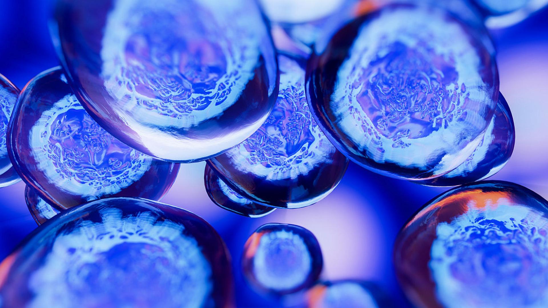 Биологичният цикъл на нашето съществуване изглежда сравнително ясен раждаме се