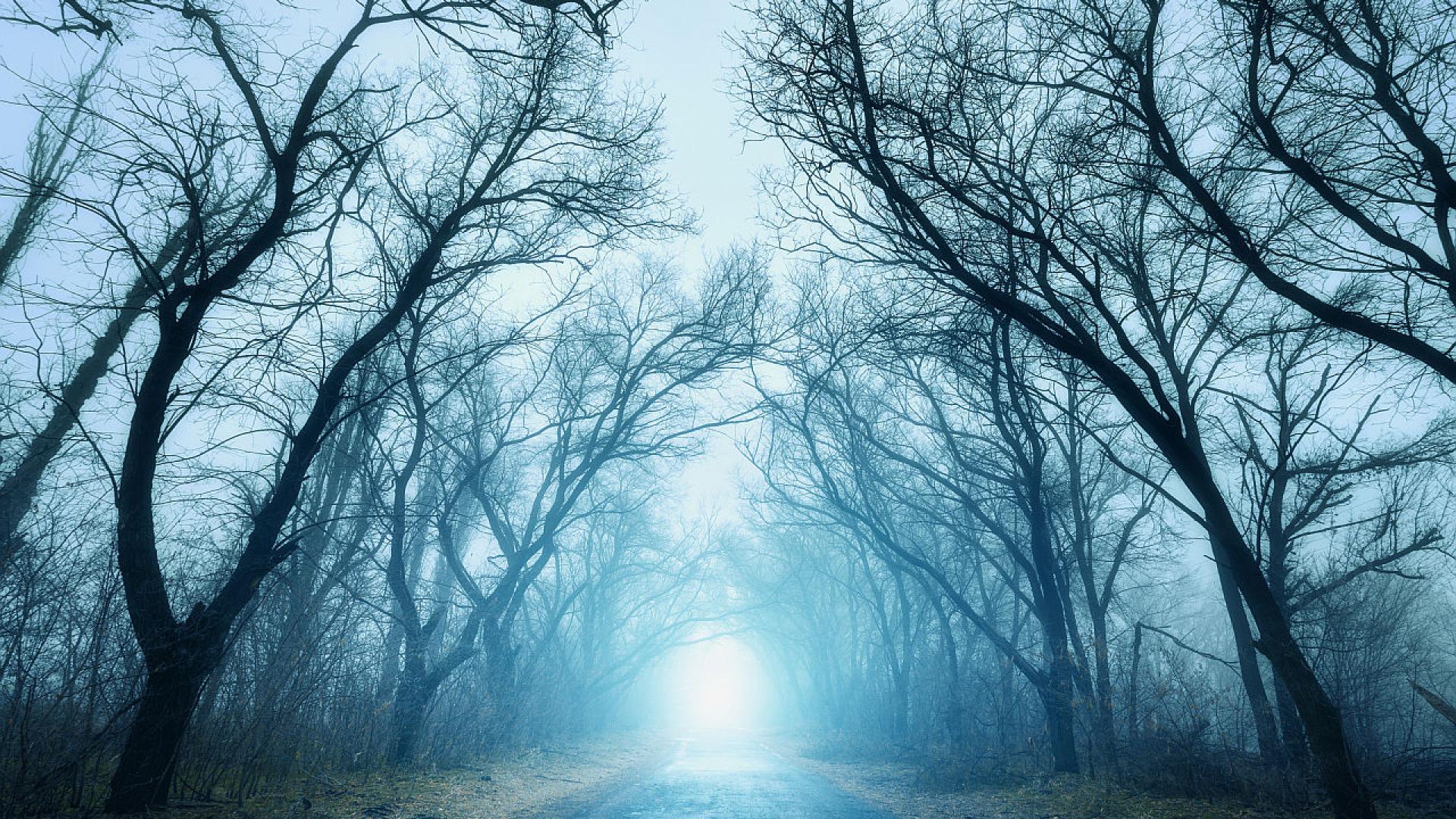 Българското кино отново привлича вниманието със смела и интригуваща продукция