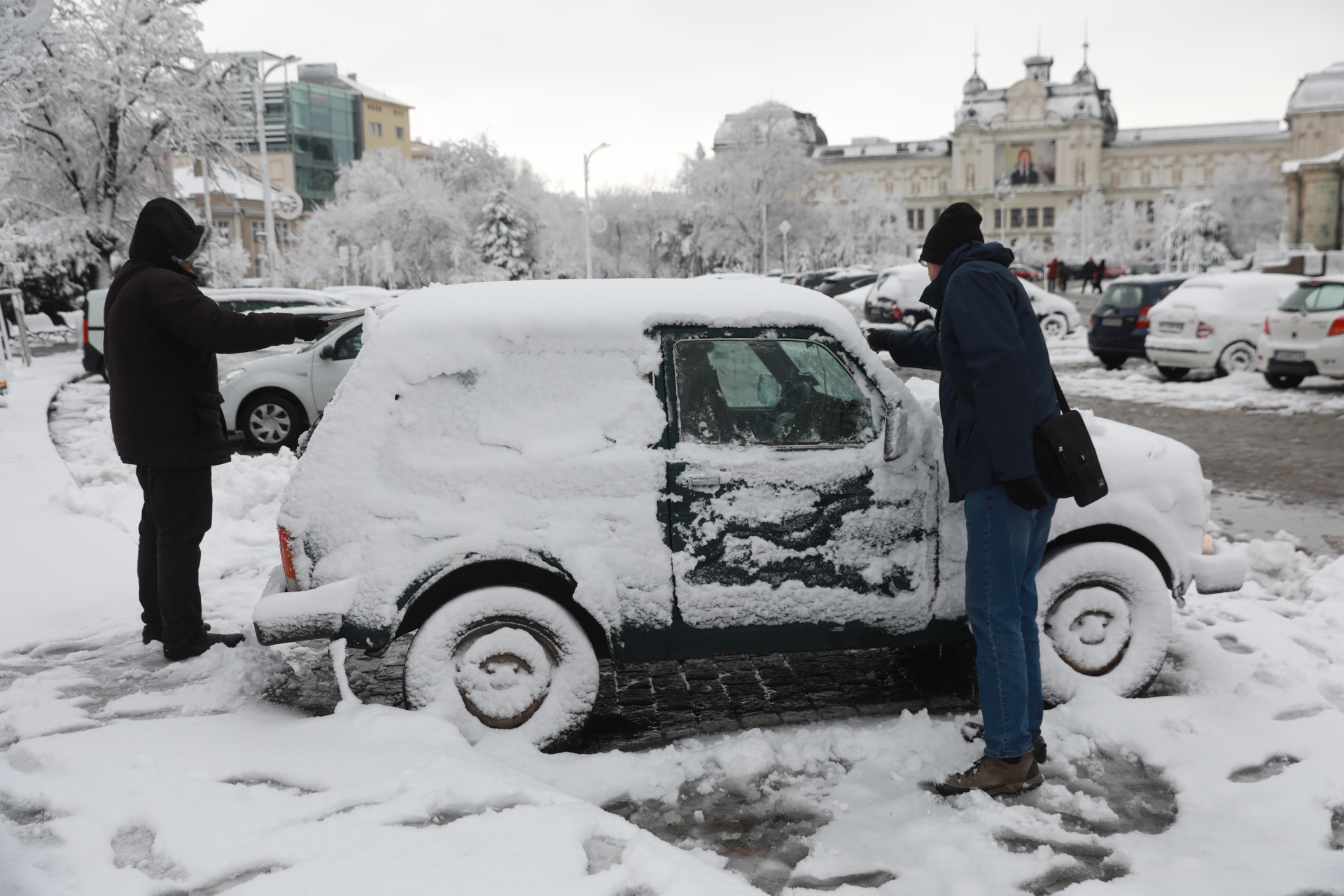 <p>Дърво падна в Докторската градина в София</p>