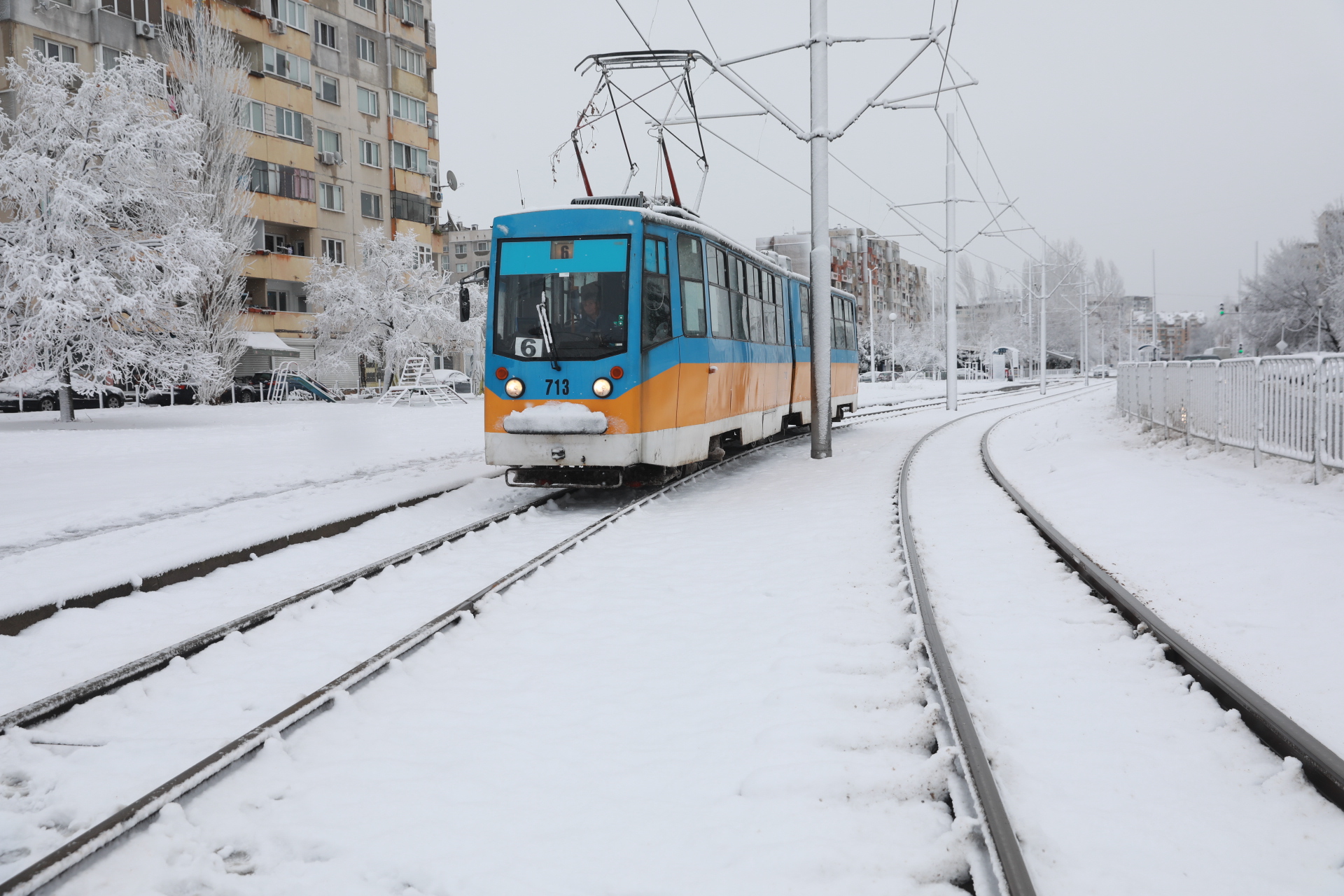 <p>Дърво падна в Докторската градина в София</p>