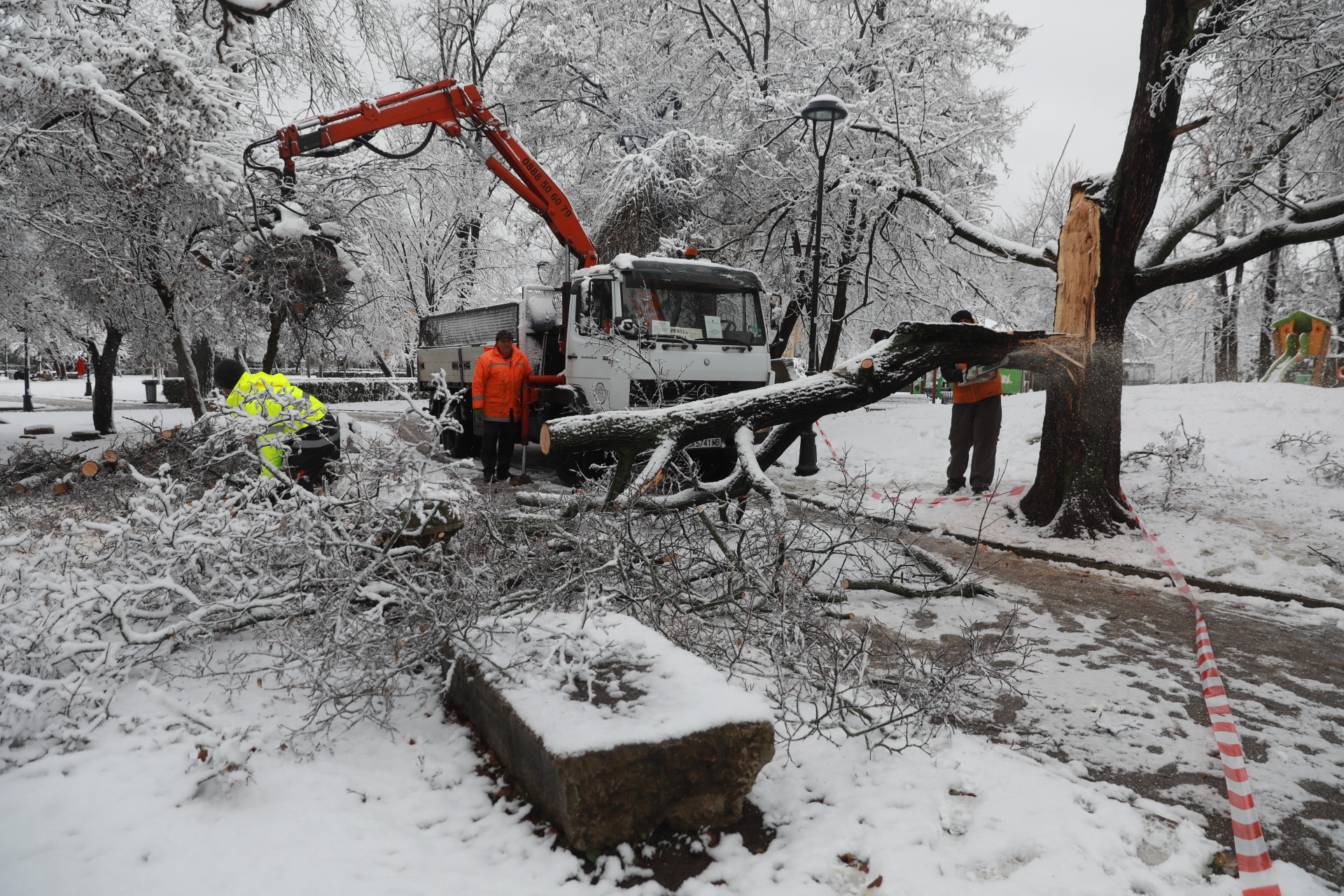 <p>Дърво падна в Докторската градина в София</p>