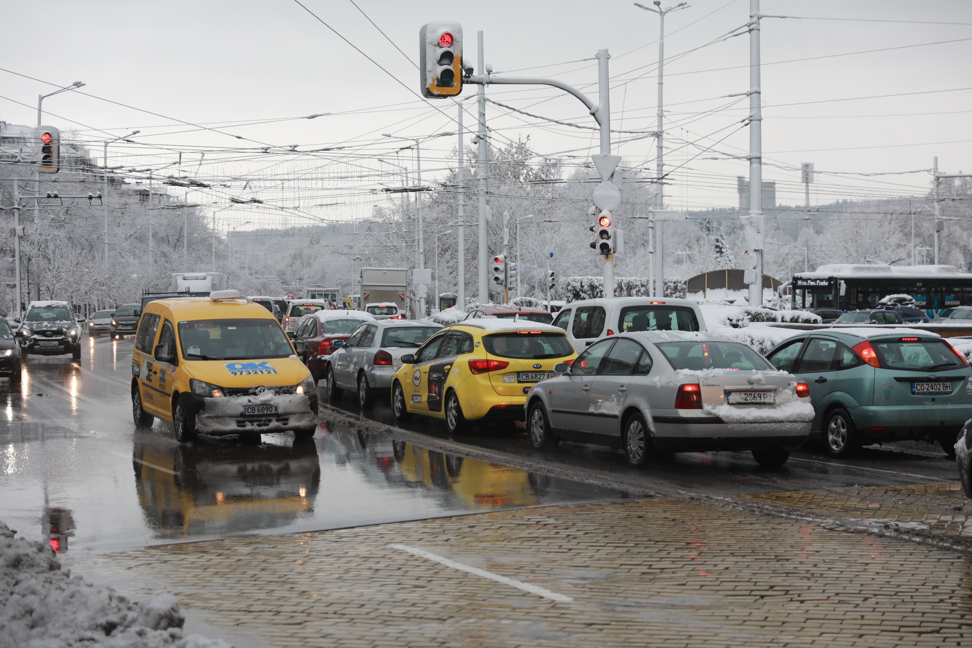 <p>Дърво падна в Докторската градина в София</p>