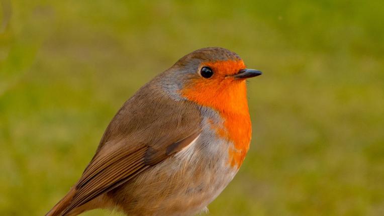  Таро за декември: с дребни стъпки към по-широк небосвод 