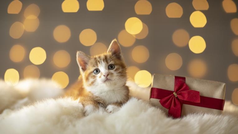  Дневен хороскоп за сряда, 5 януари 