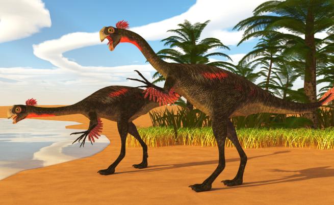 Бебето Инлян доказва връзката на динозаврите с птиците