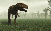 <p>Те увреждат почвата, която по-тежките динозаври са опазили </p>